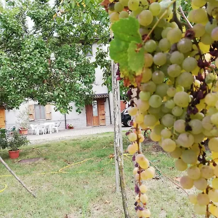 Πανσιόν Il Canale Dei Mulini San Damiano